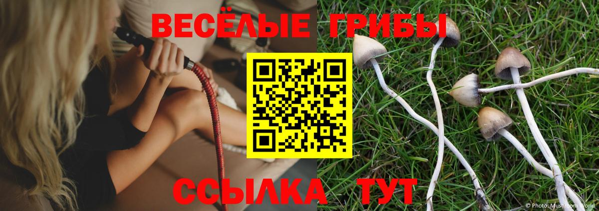 Галлюциногенные грибы ЛСД  Галлюциногенные грибы Psilocybine cubensis  Вход с VPN  Советск 